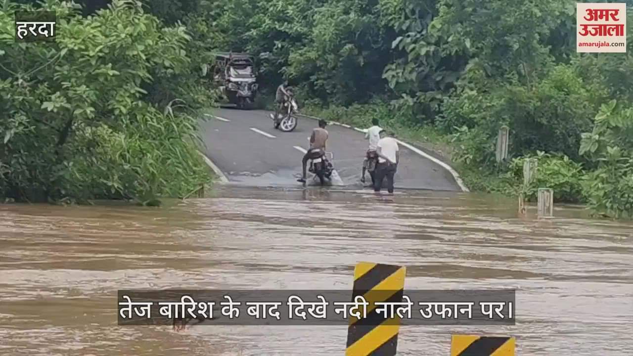 Harda News: After heavy rain, rivers and streams were seen in spate
