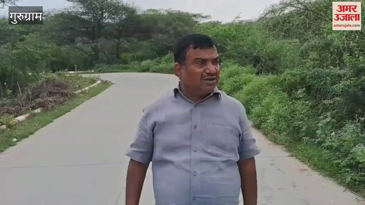 Leopard dies after being hit by an unknown vehicle on Gurugram-Faridabad road