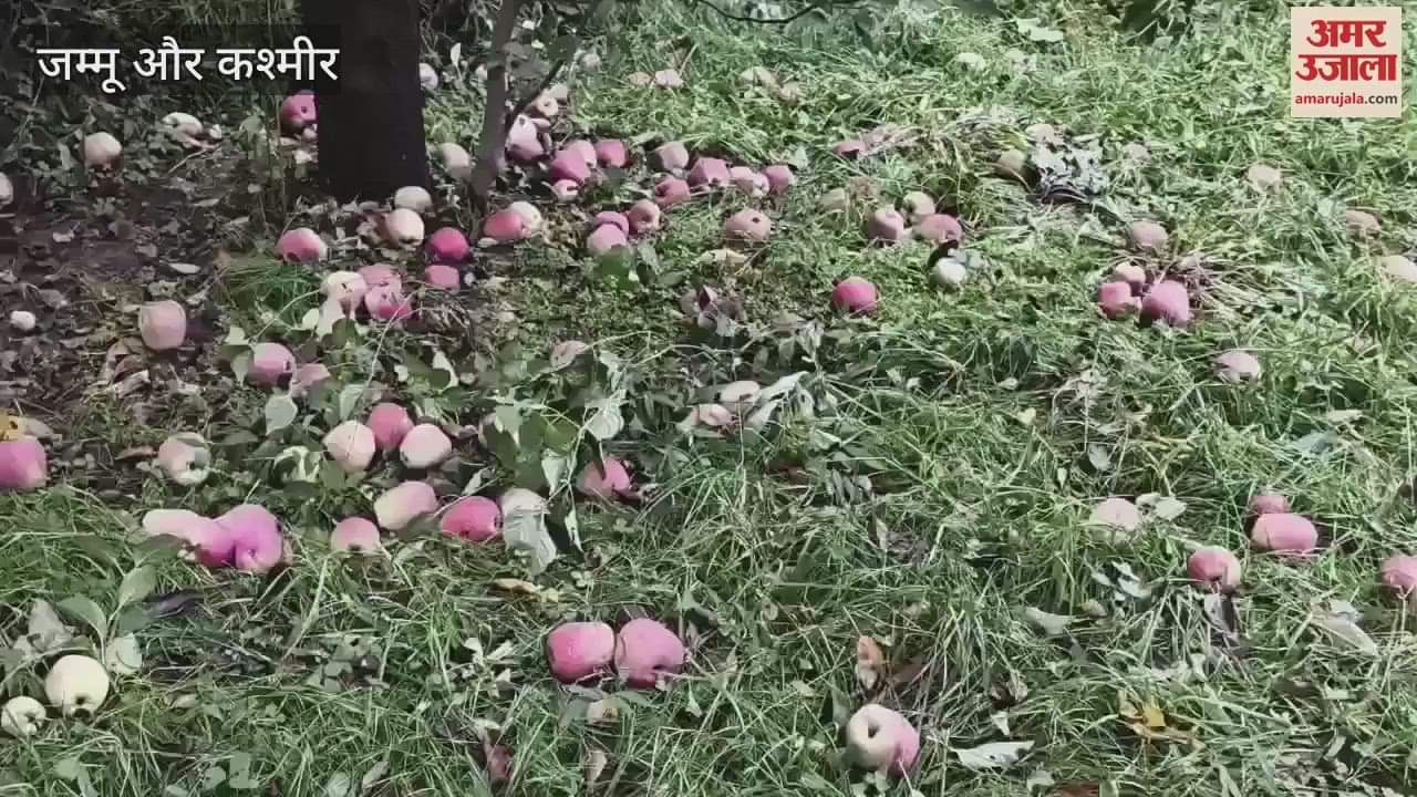 Strong Winds Damage Orchards in Shopian Villages