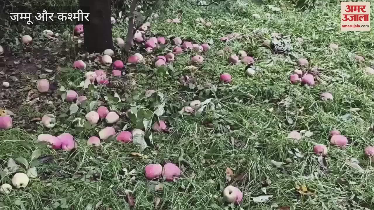 Strong Winds Damage Orchards in Shopian Villages