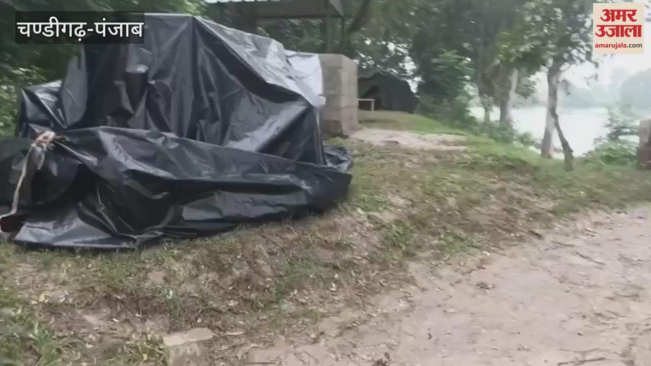 A tractor trolley carrying soil fell into the water while making way for the BSF post in Ferozepur