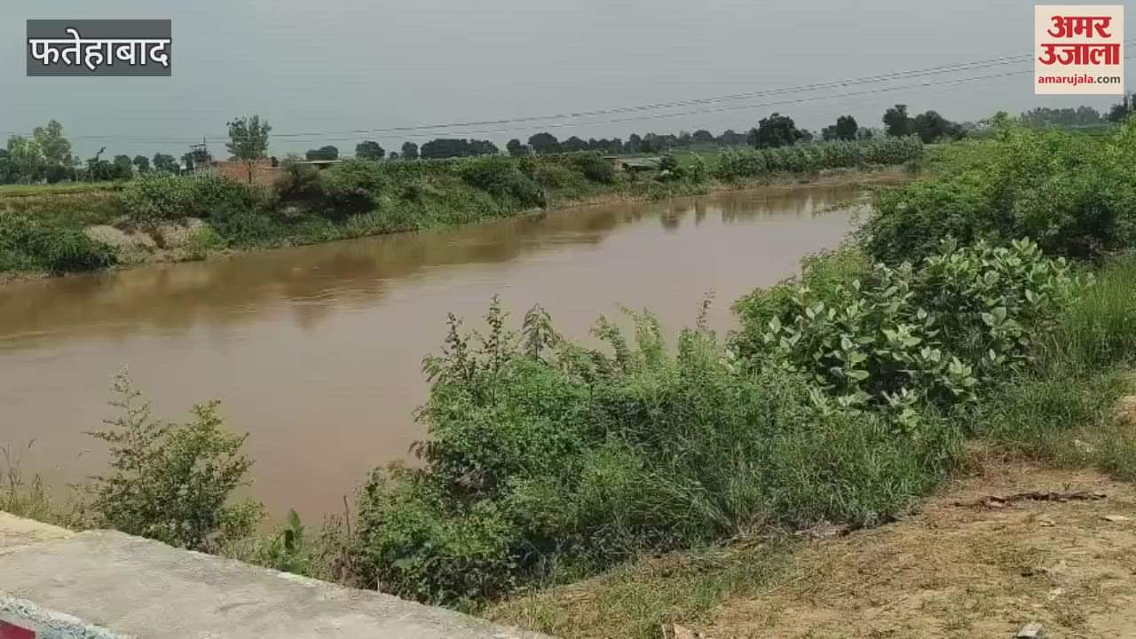 water level of Ghaggar river decreased in Ratia of Fatehabad, work of filling mud bags started for safety