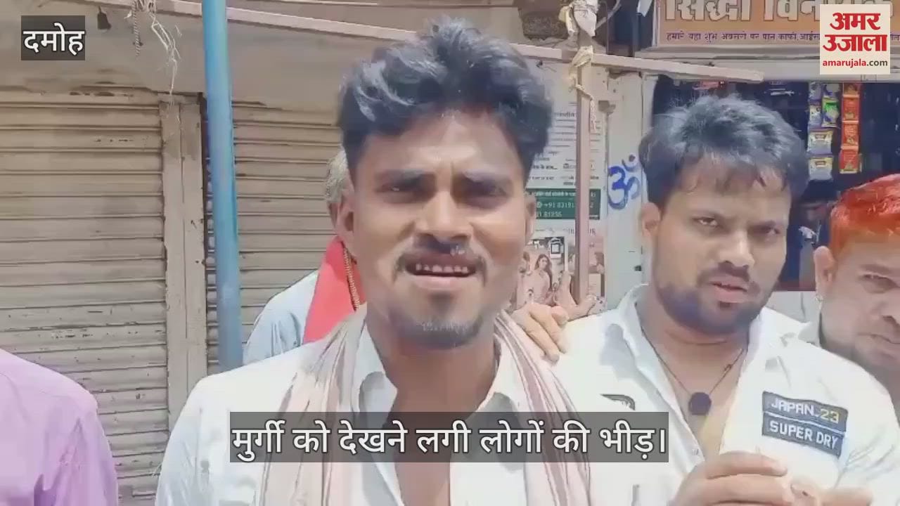 A strange chicken worth 15 thousand rupees reached Damoh from Calcutta