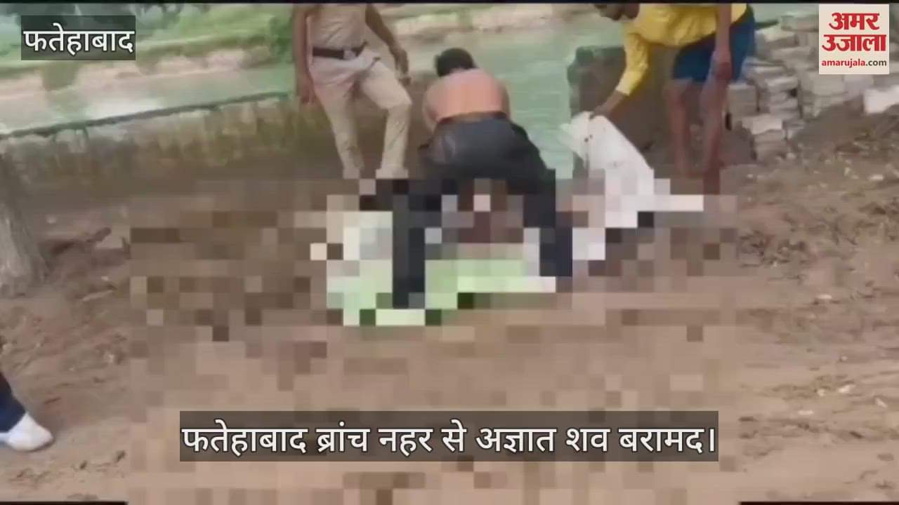 An unidentified body recovered from Fatehabad branch canal