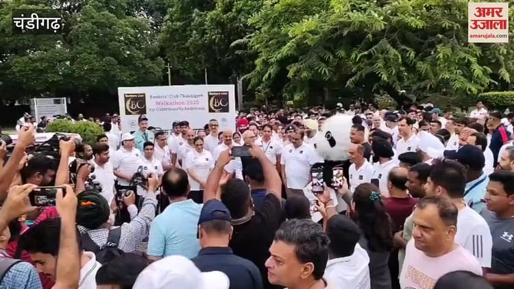 Chandigarh Bankers Club Organises Walkathon On Cyber Security At Sukhna Lake – Amar Ujala Hindi News Live