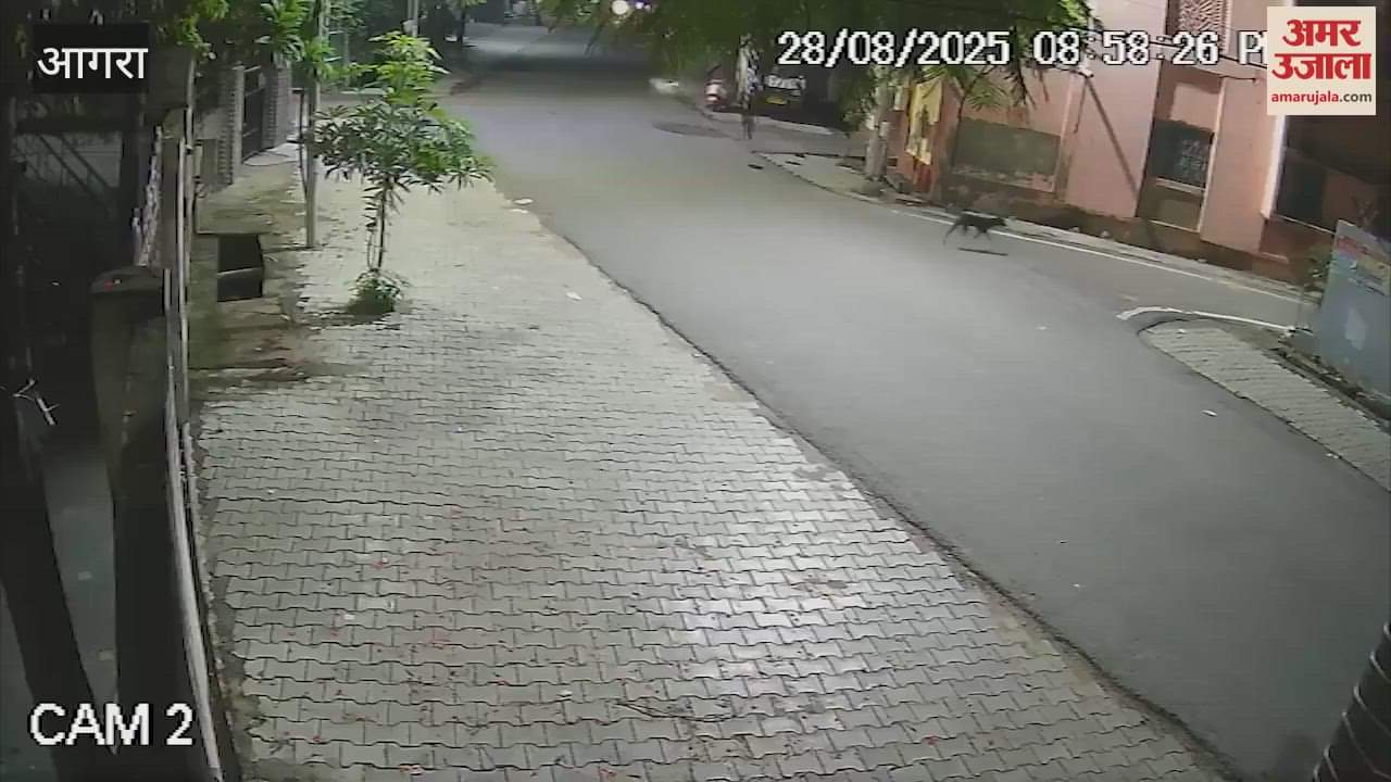 Bikers gang looted mobile from student