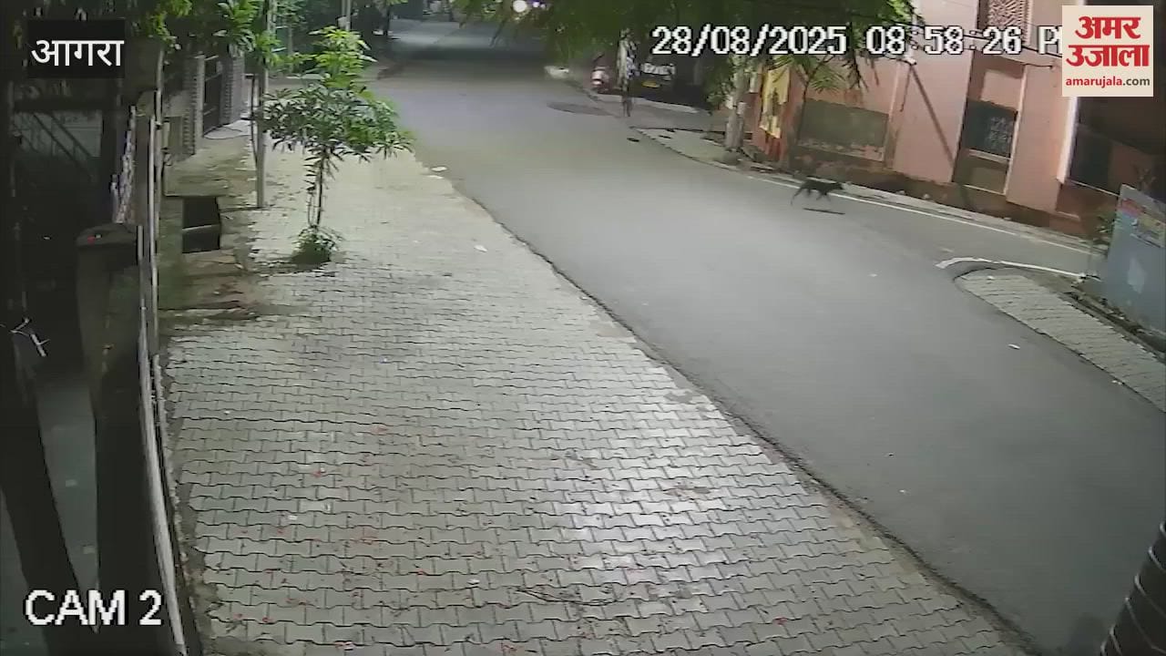 Bikers gang looted mobile from student