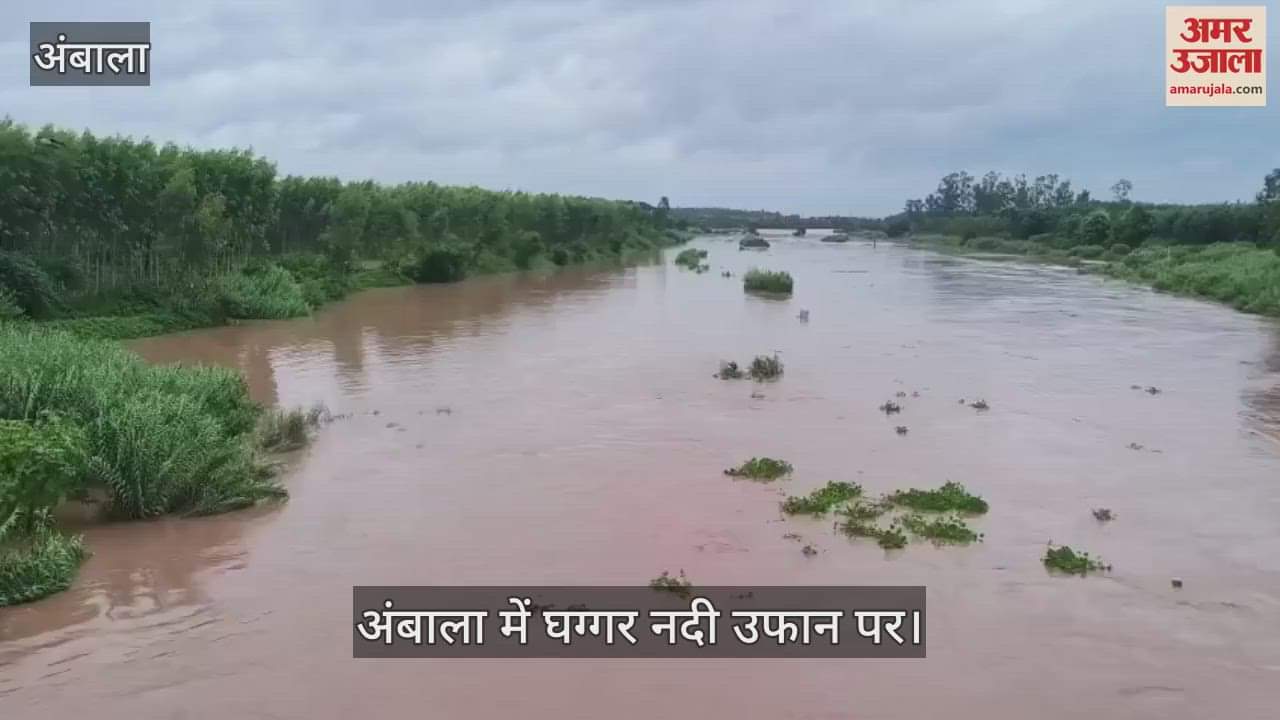 Water level increase in Ghaggar river