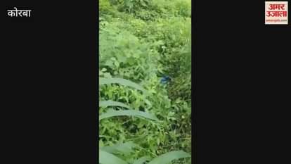 stir after newborn baby was found in bag