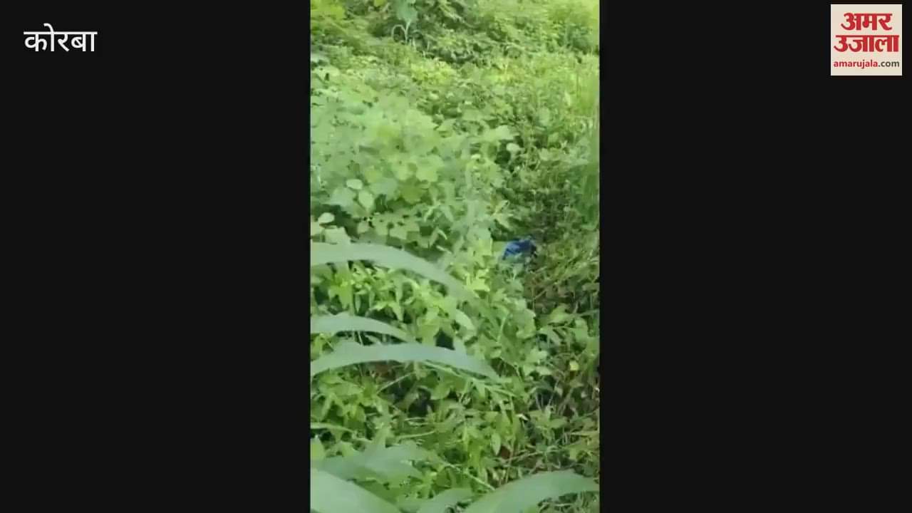 stir after newborn baby was found in bag