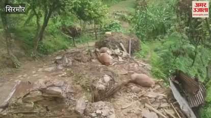 Sirmour 8 cattle buried in the cowshed in Gram Panchayat Bharari
