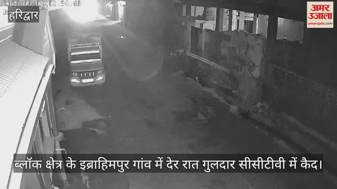 Leopard caught on CCTV late night in Ibrahimpur village of the block area, panic prevails among villagers