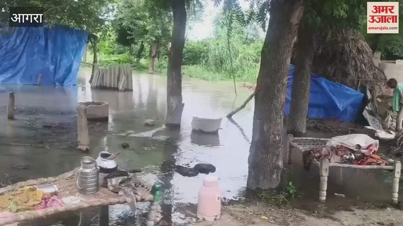 Yamuna in spate again in Agra