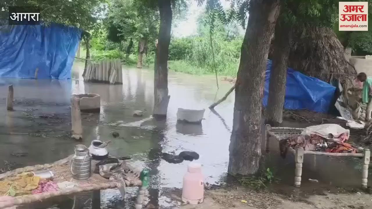 Yamuna in spate again in Agra