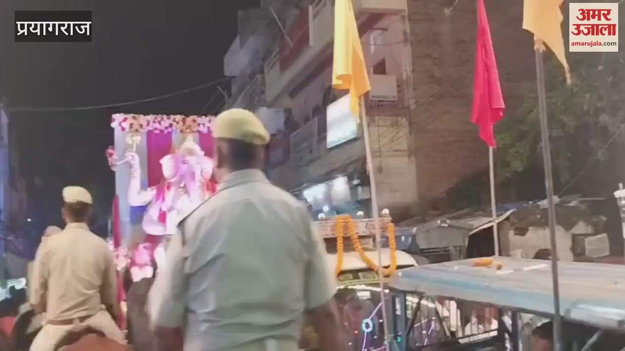 Traditionally, floats were taken out in Dadhikando fair, cheers were raised in praise of Krishna and Balram