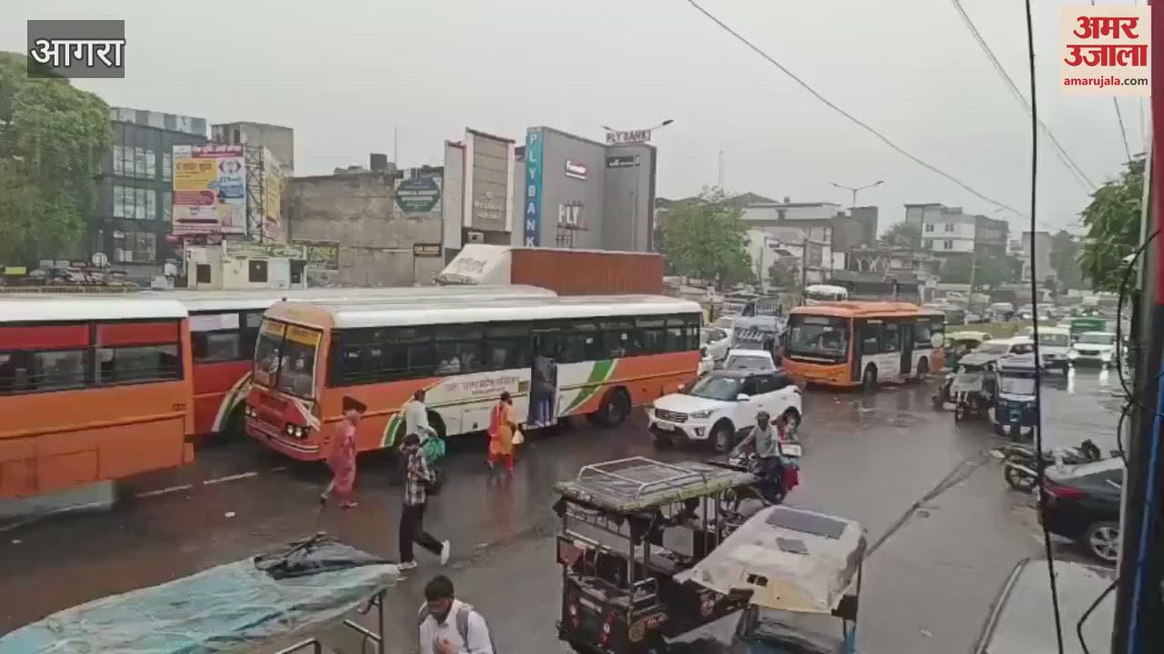 Roadways buses gather on highway