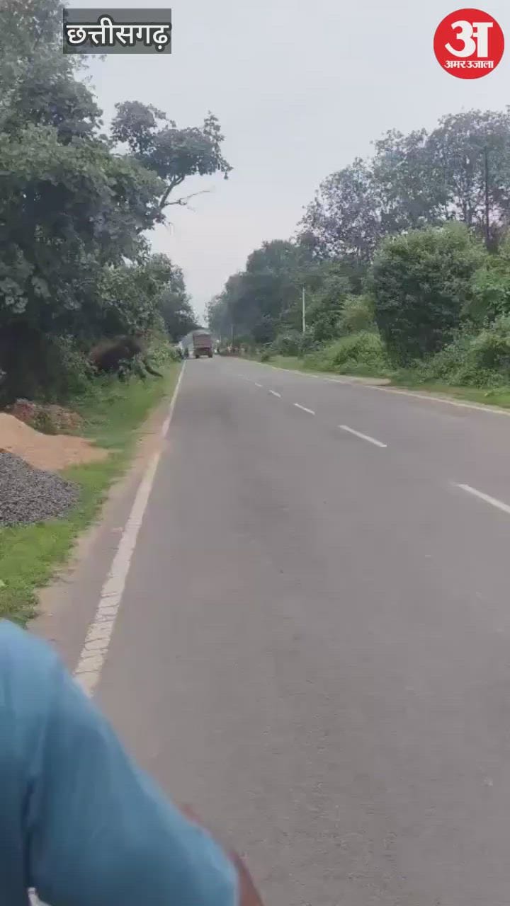 जंगली हाथी को स्कूटी सवार युवक ने दौड़ाया