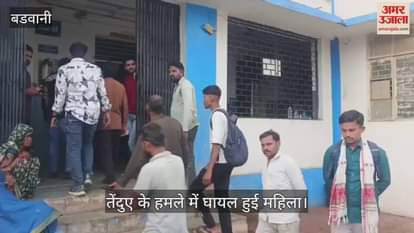 Barwani News: A leopard hiding in the bushes hunted a woman working in the field