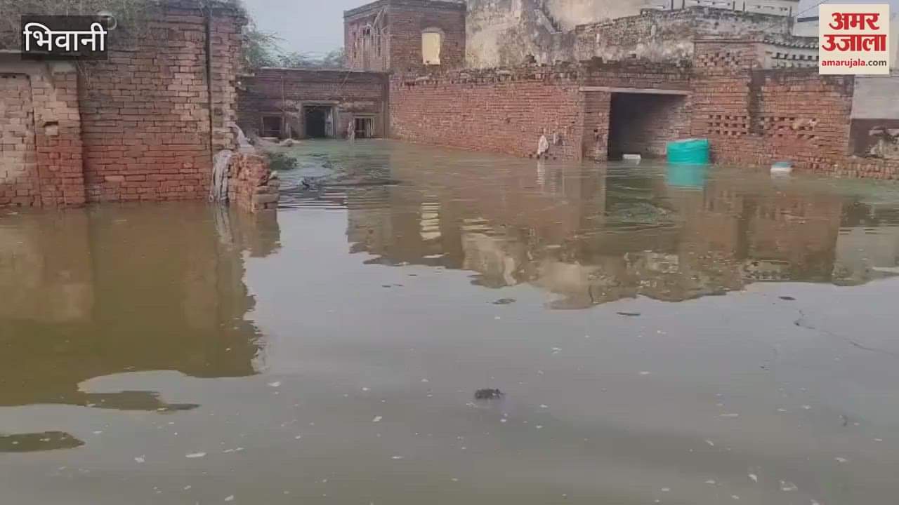 More than 50 houses submerged in Sangwan village of Bhiwani, more than 25 families have already migrated