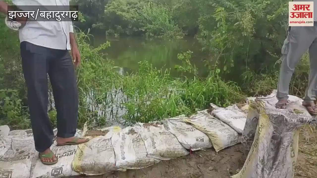 Drain-8 overflowed near Silani village of Jhajjar, danger of breaking increased, work of dam construction started