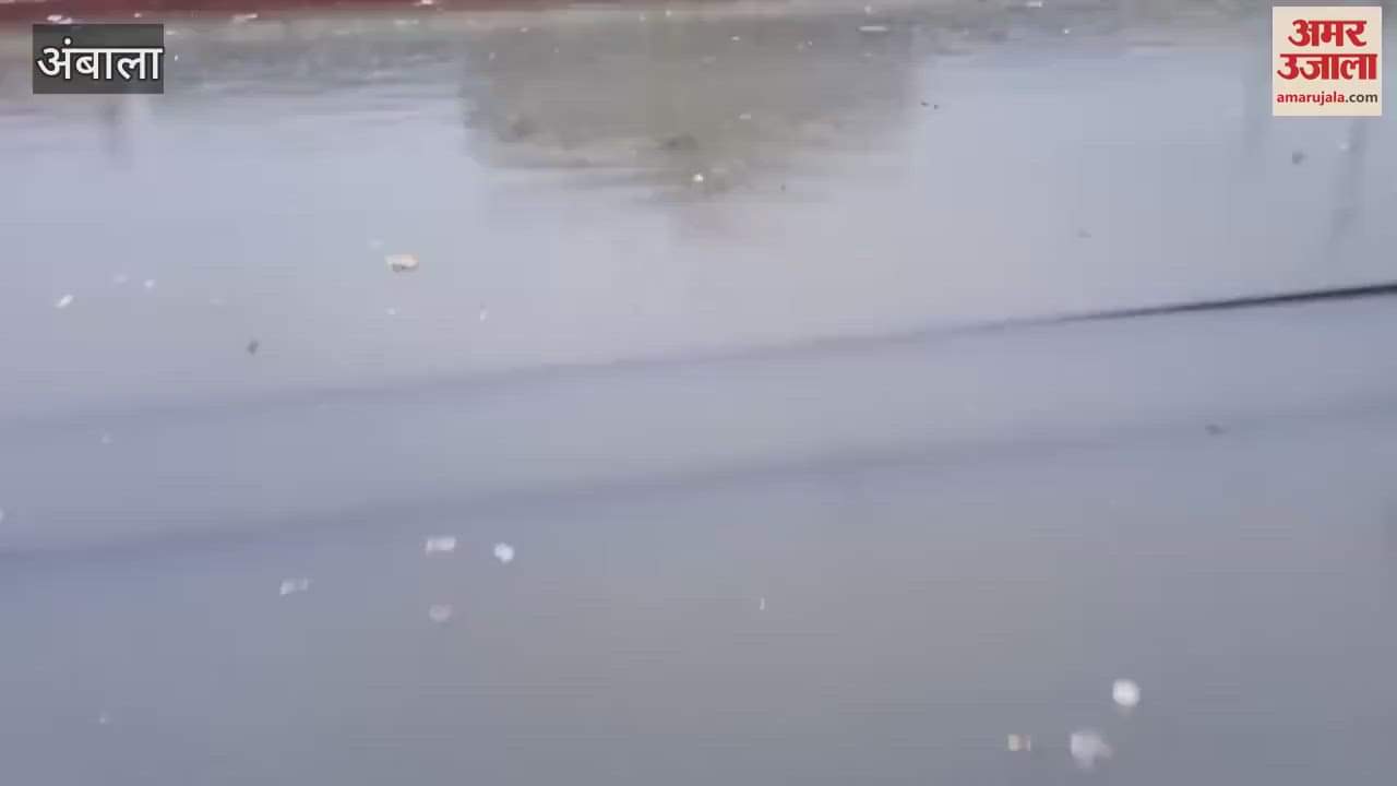 Ambala is in trouble due to rain; From DC office to railway tracks everything is submerged, schools closed