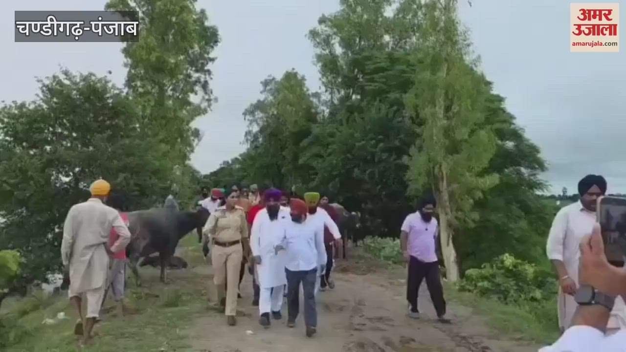 The water level of Sutlej increased in Moga, work to take people to safe places started