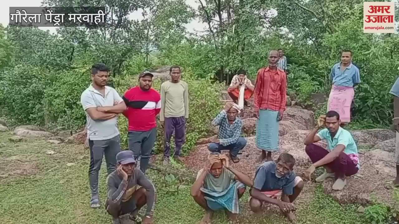 11 cattle died on spot after being struck by lightning in Marwahi