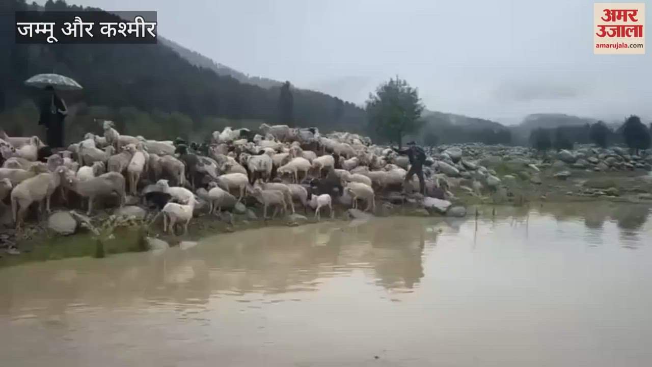 Heavy Rainfall Triggers Rescue Operation in Shopian’s Rambi Ara