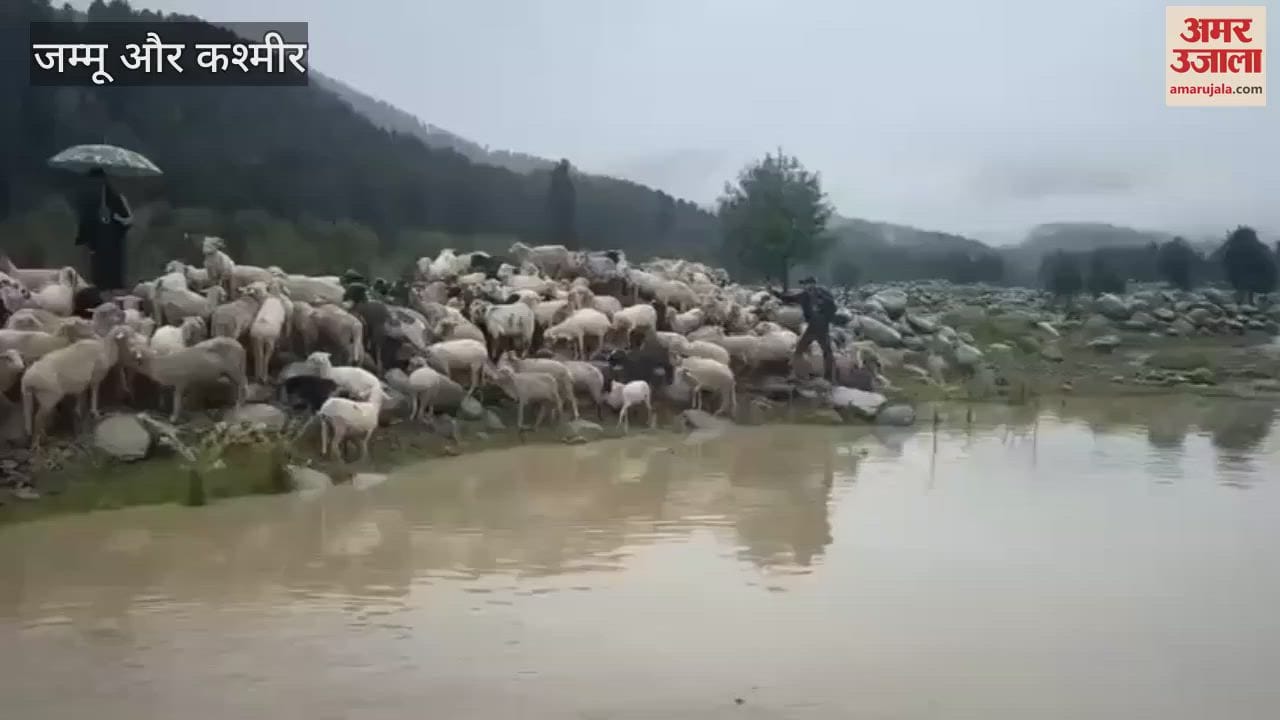 Heavy Rainfall Triggers Rescue Operation in Shopian’s Rambi Ara