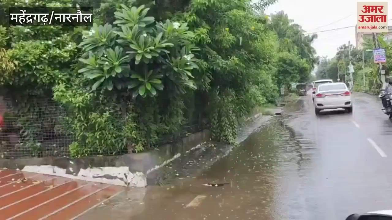 Deputy Commissioner inspected the parks in the sector in Narnaul, gave instructions to install pump sets to drain out water