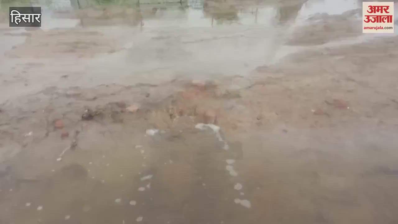 Entered the colony of Kamri village of Hisar, villagers allege - no one to take care in the time of crisis