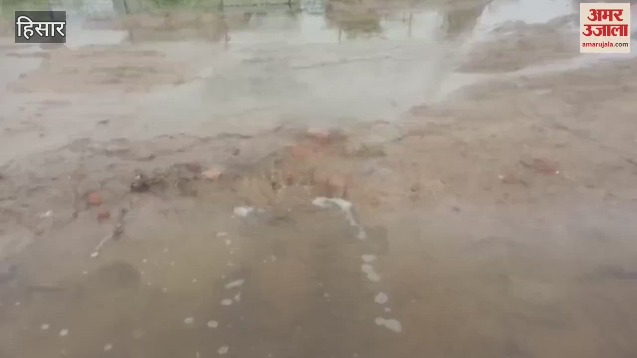 Entered the colony of Kamri village of Hisar, villagers allege - no one to take care in the time of crisis
