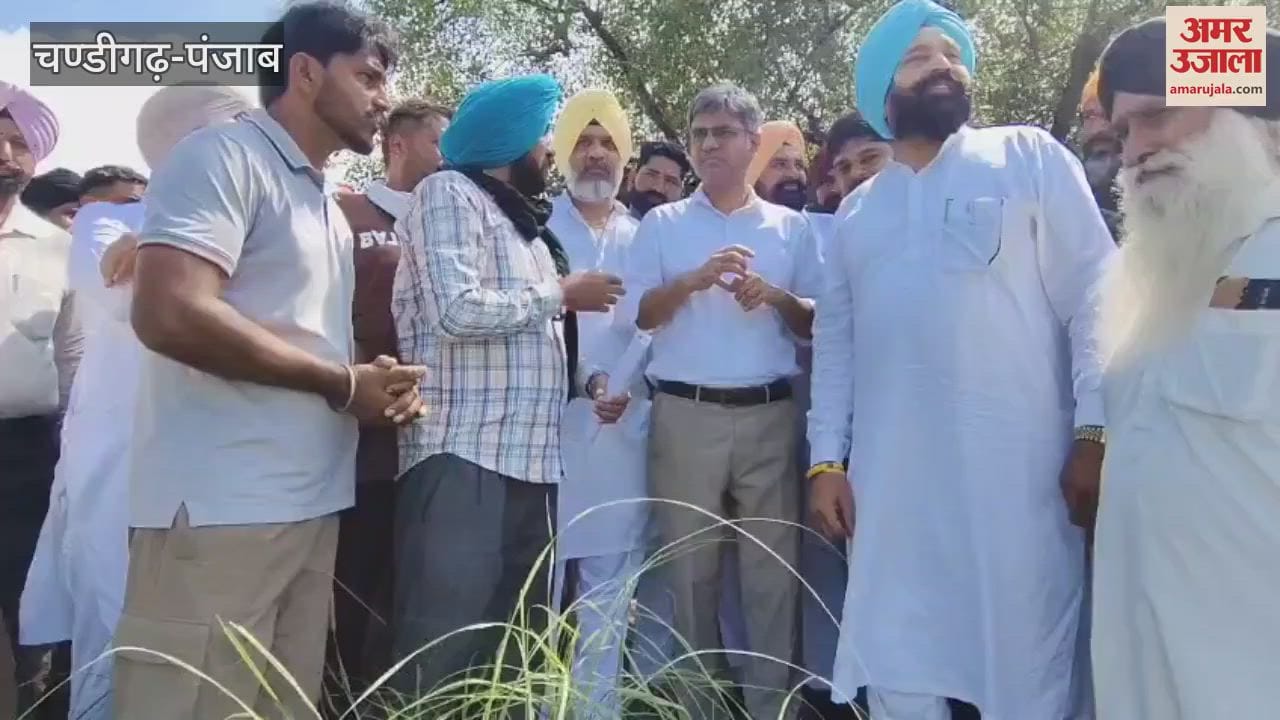 Rajya Sabha member Sandeep Pathak reached the flood affected village of Bhamba Haji in Mamdot