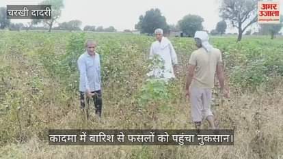 Rain damages crops in Kadama