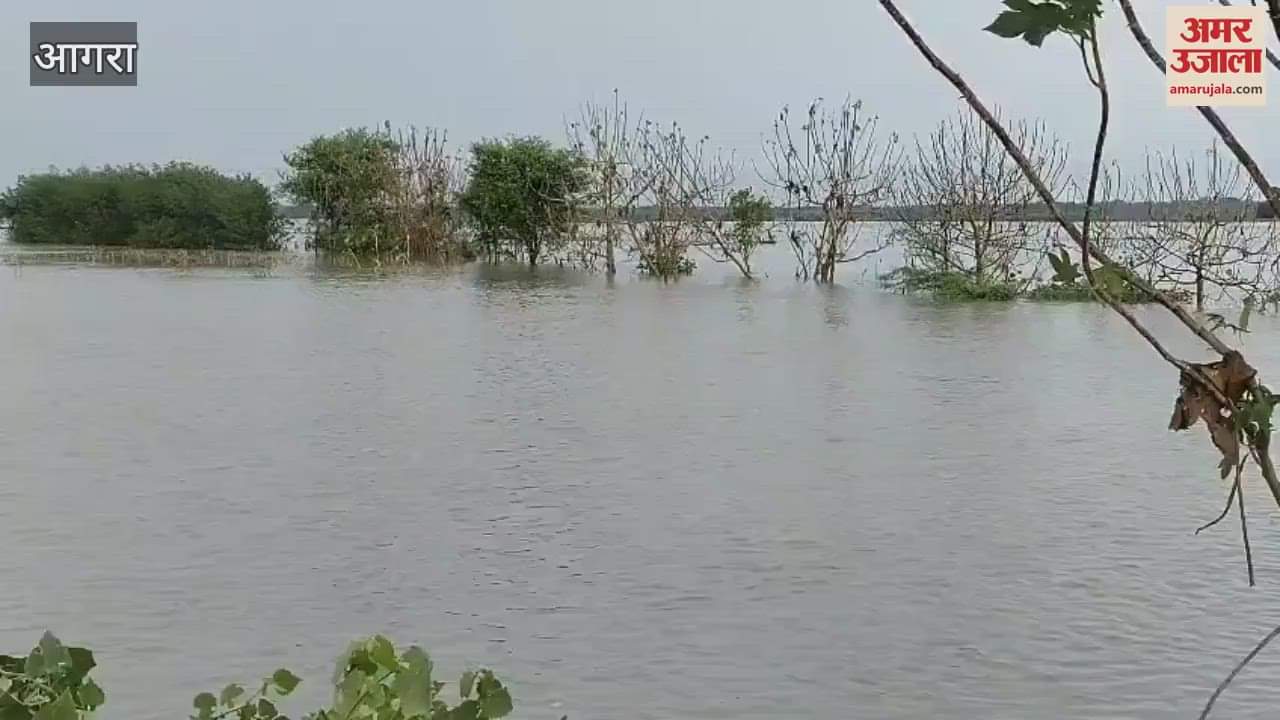 Water level of Yamuna is rising rapidly in Agra