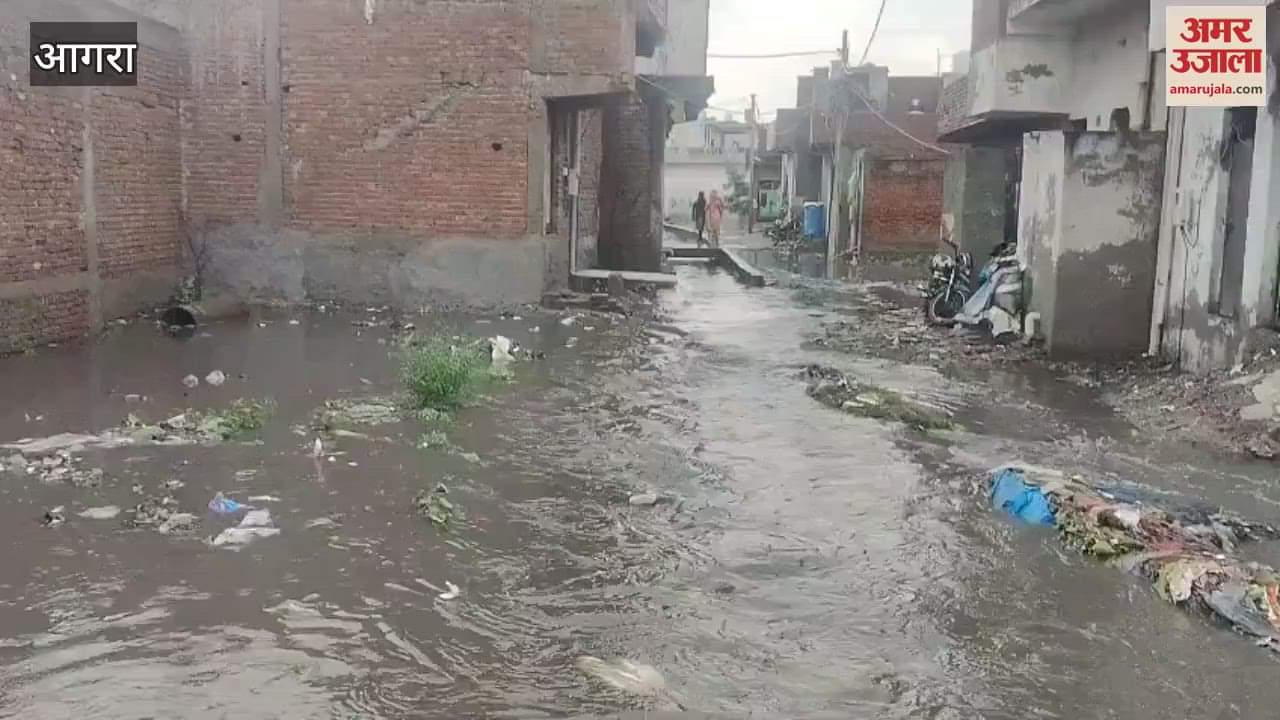 Condition worsened due to rain in coastal areas of Yamuna