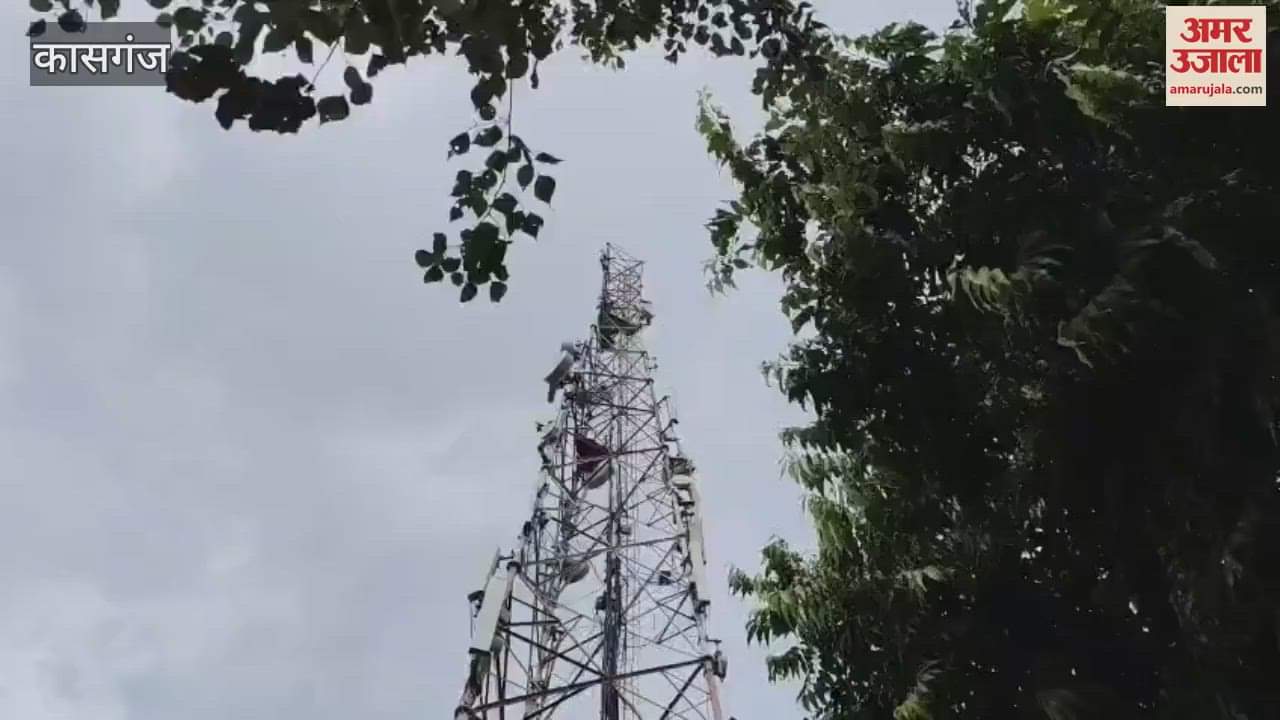young man climbed tower to protest against electricity department