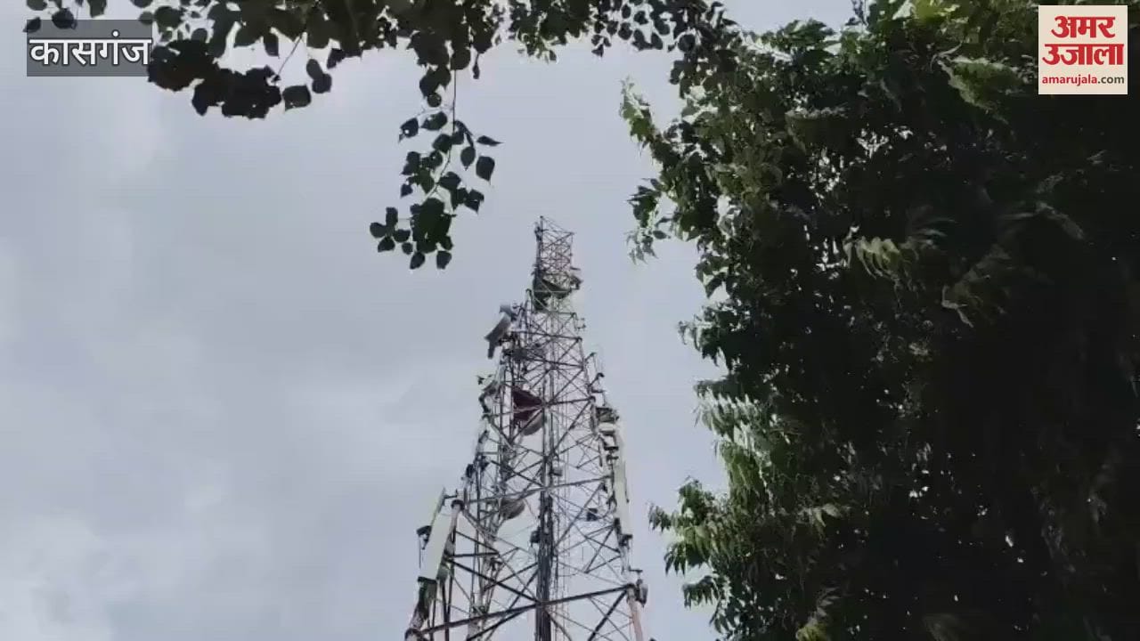 young man climbed tower to protest against electricity department