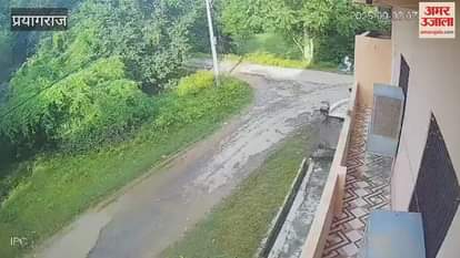 Man-eating leopard seen again in Hanumanganj, Prayagraj, came in front of a van full of school children