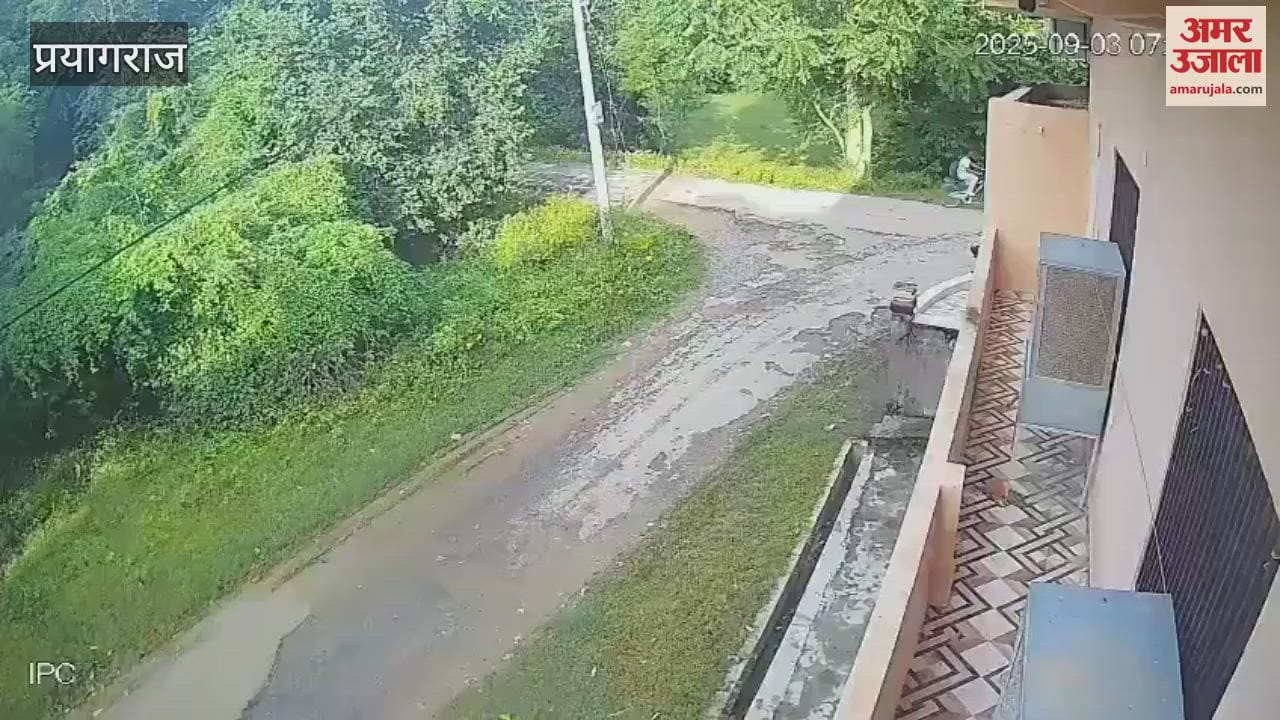 Man-eating leopard seen again in Hanumanganj, Prayagraj, came in front of a van full of school children