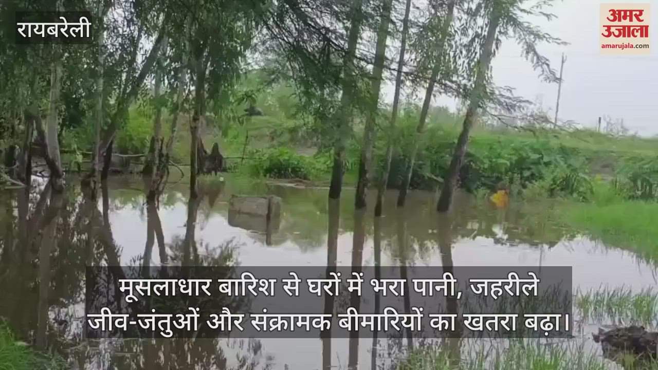 रायबरेली में मूसलाधार बारिश से घरों में भरा पानी, जहरीले जीव-जंतुओं और संक्रामक बीमारियों का खतरा बढ़ा