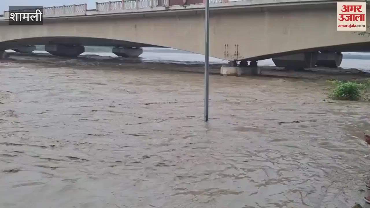 High alert for flood in Shamli, hundreds of bihar crops flooded