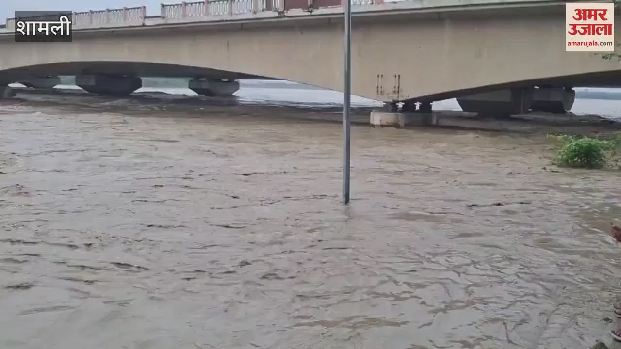 High alert for flood in Shamli, hundreds of bihar crops flooded