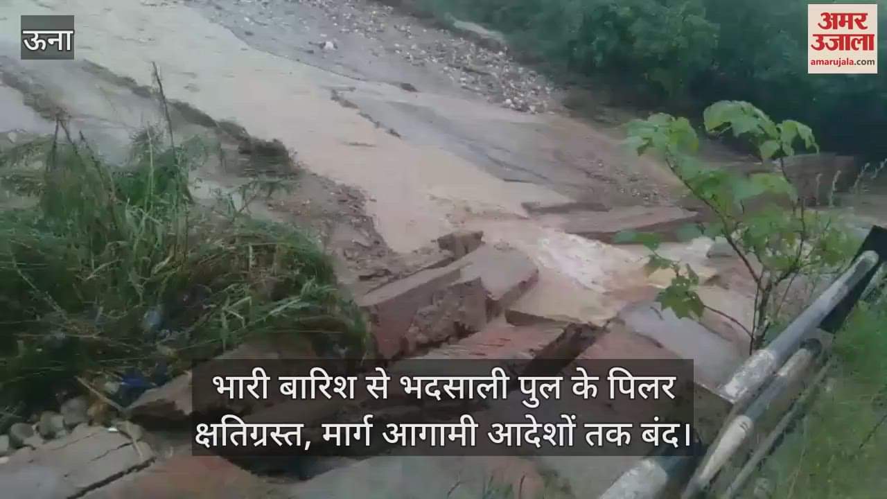 Pillars of Bhadasali bridge damaged due to heavy rain, road closed till further orders