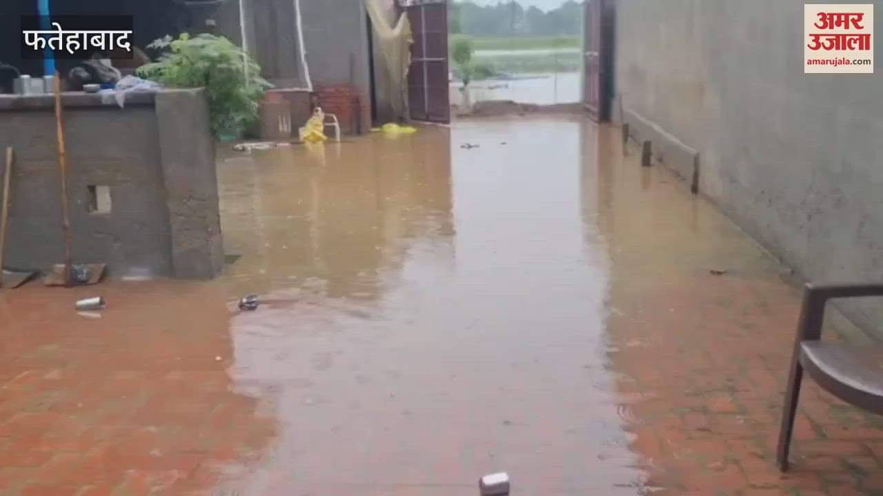 Rainfall since morning in Fatehabad has brought lines of worry on the faces of farmers