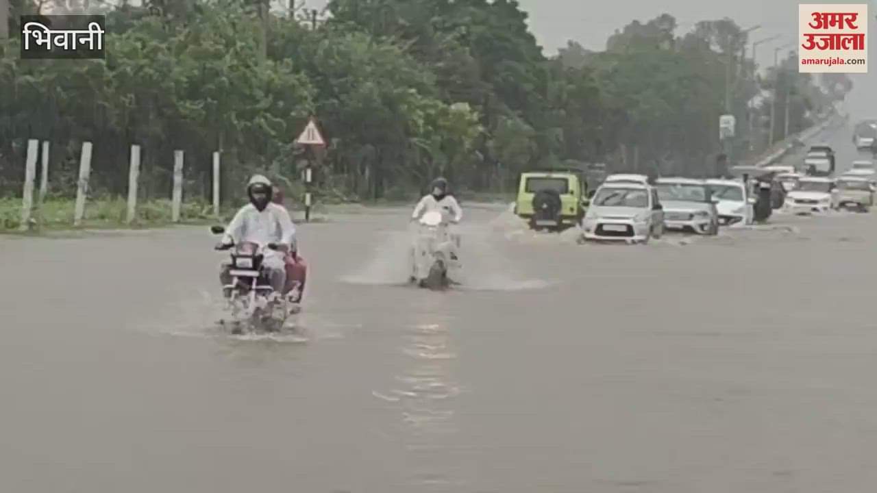 Waterlogging in front of Superintendent of Police's residence in Bhiwani, milk plant submerged