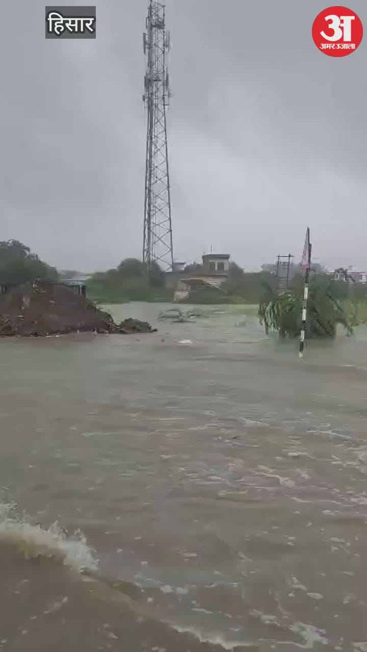 हिसार के गांव सरसौद पहुंचा राजली का पानी, जेसीबी से उखाड़ना पड़ा हिसार ...
