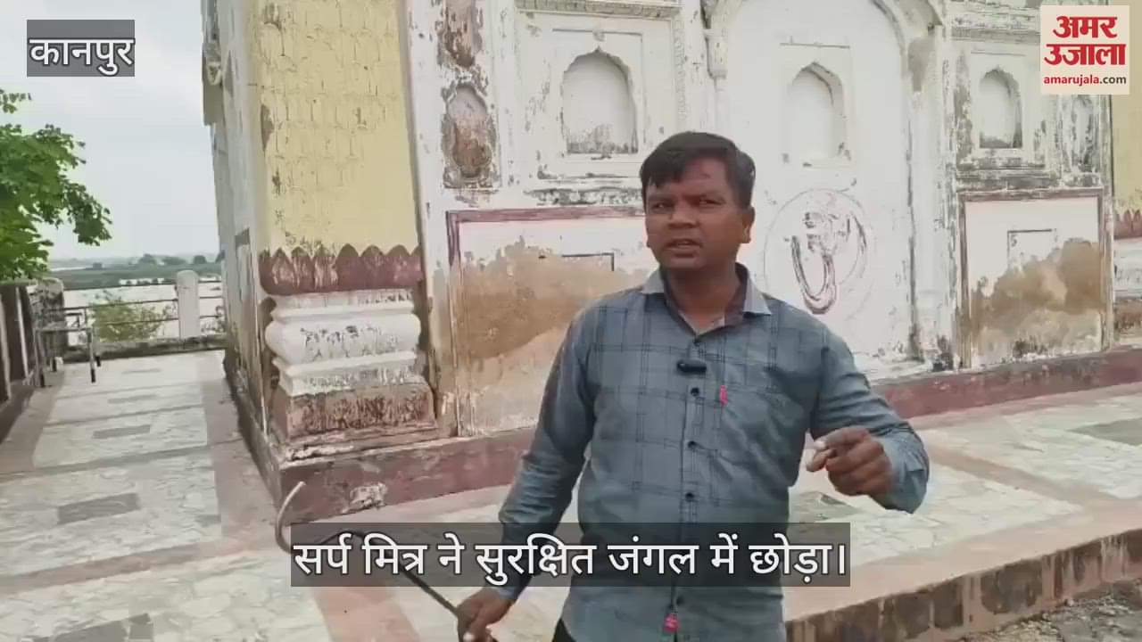 कानपुर के सरसौल में गंगा की बाढ़ में बहकर पहुंचा जहरीला रसल वाइपर