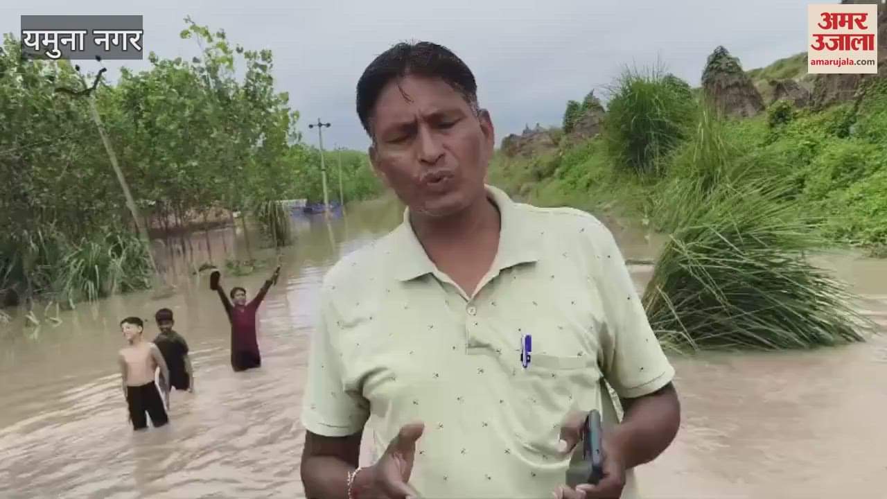 Yamuna is in spate due to continuous rain in Yamunanagar, crops and houses are submerged in Chhota Lapra village