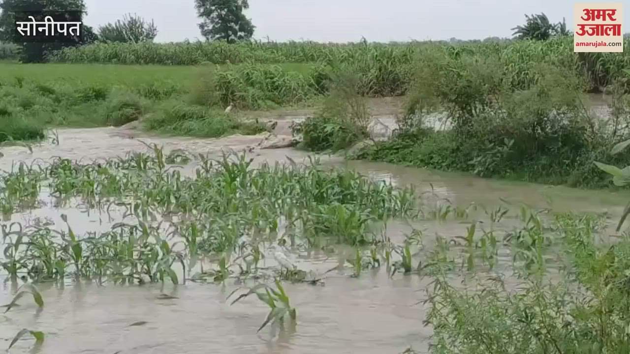 Yamuna's fierce form in Sonipat, water entered the fields, now villages are in danger